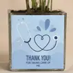 Thank You Doctor Chamaedorea Plant