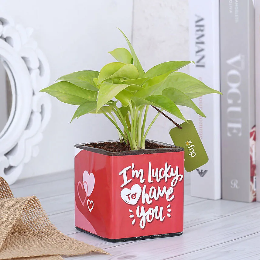 Money Plant In Lucky To Have You Glass Pot Hand Delivery