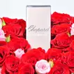 Luxurious Chopard Giftbox with Red Roses and Rose Malaki Perfume