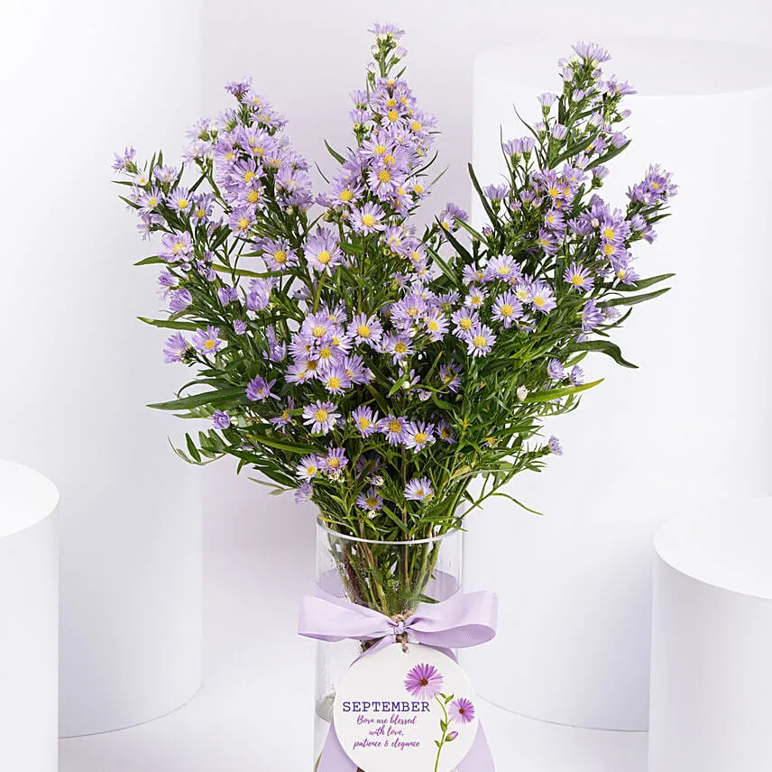 September Birthday Wishes Aster Flowers in Vase