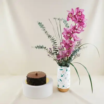 Orchid Vase With Chocolate Cake Combo
