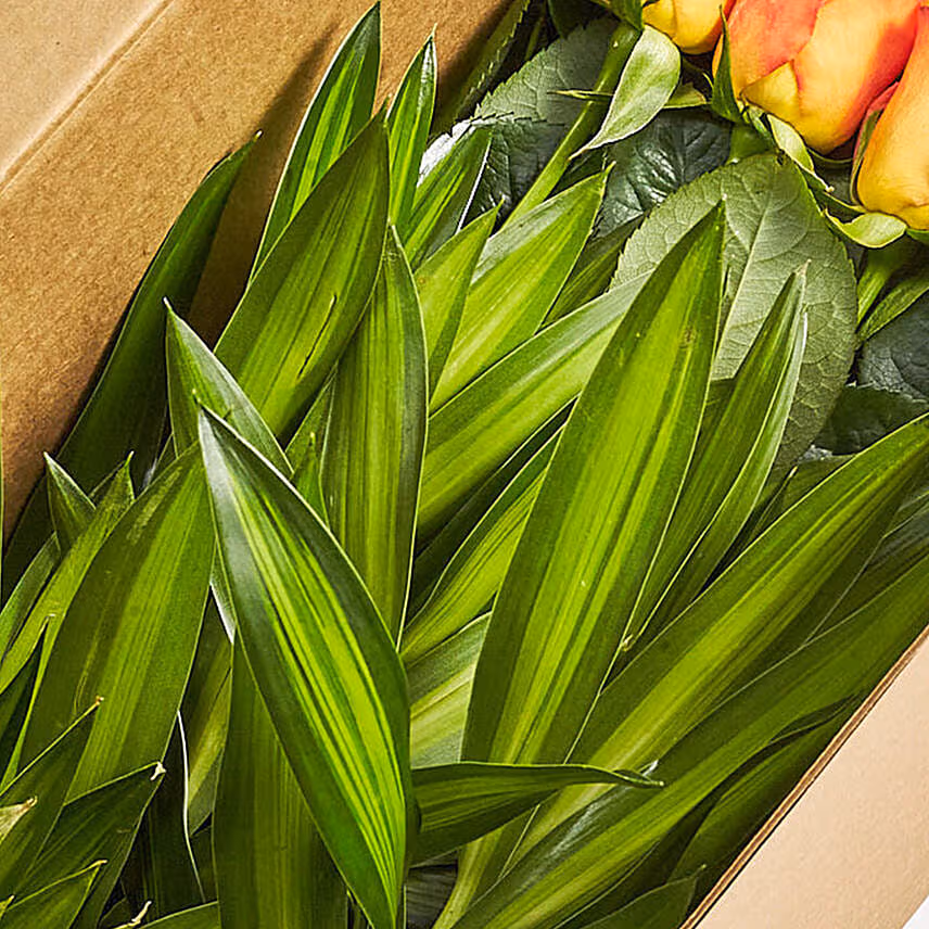 Eternal Love Orange Roses Box