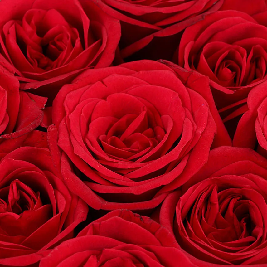 Red Roses In Love You Sticker Vase