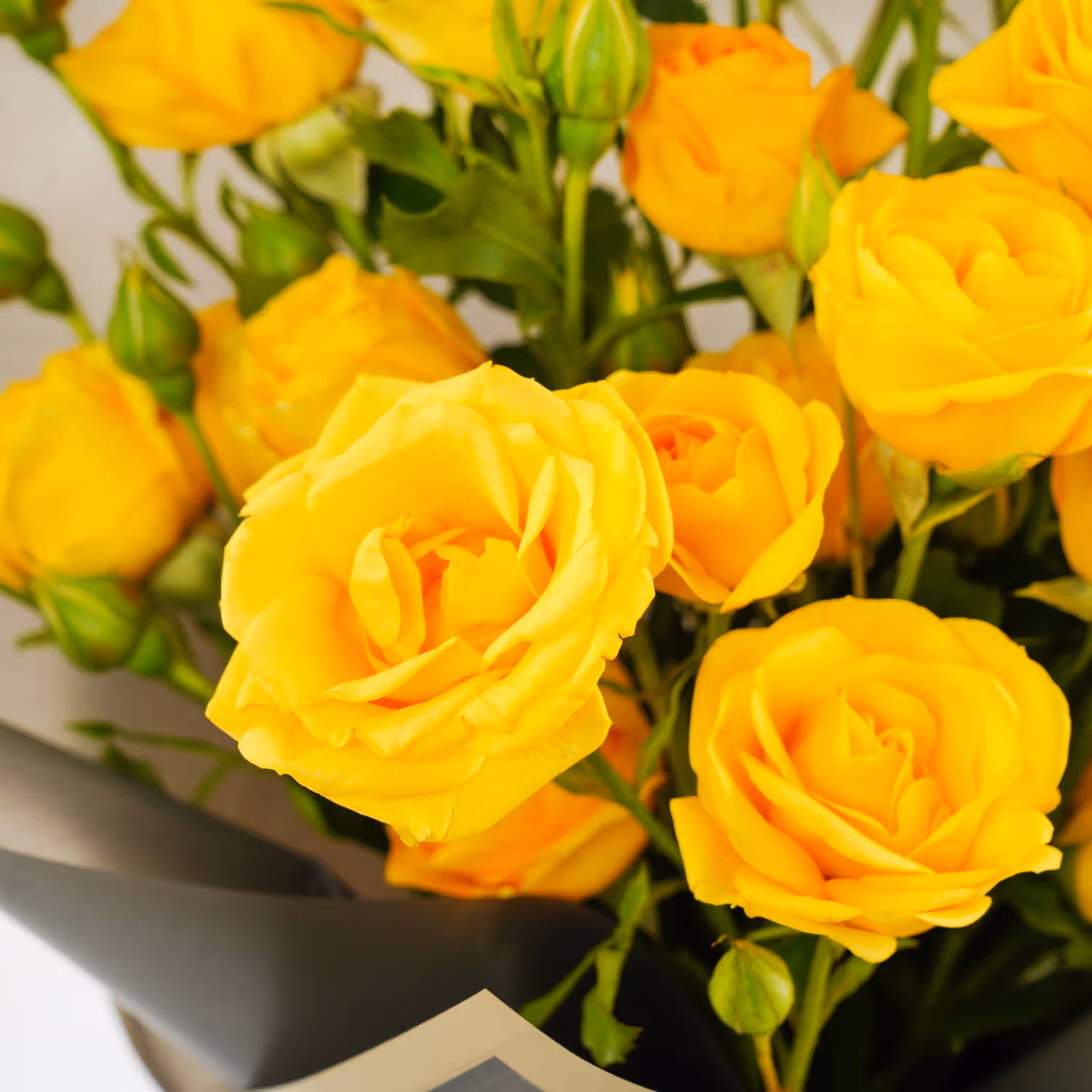 Radiant She Blooms Bouquet - Vibrant Yellow Spray Roses
