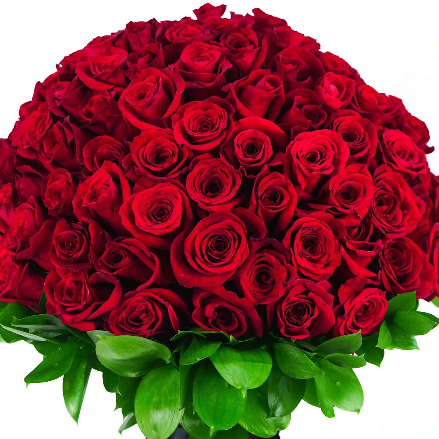 Hand Tied 150 Roses Bunch