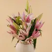 Royal Pink Lily Vase