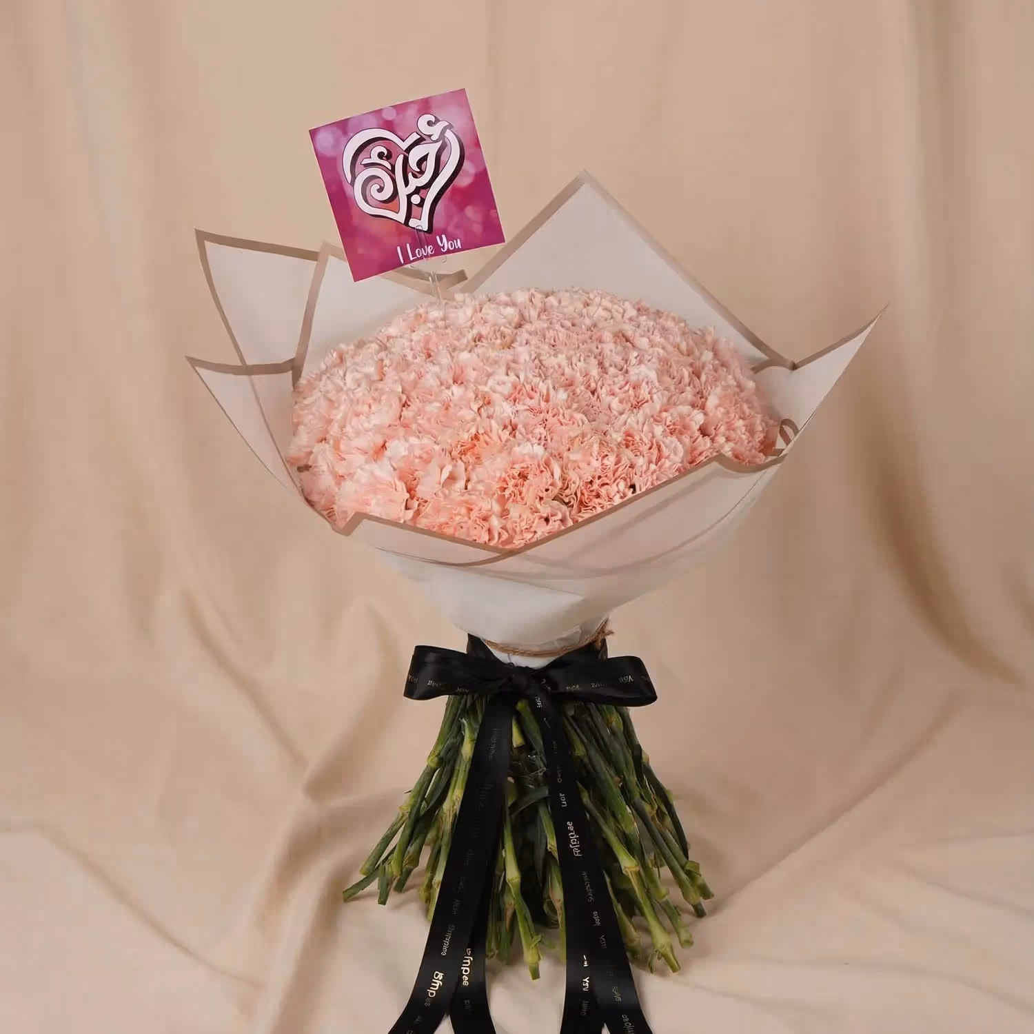 Elegant Pink Carnations - Bouquet