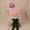Elegant Pink Carnations - Bouquet