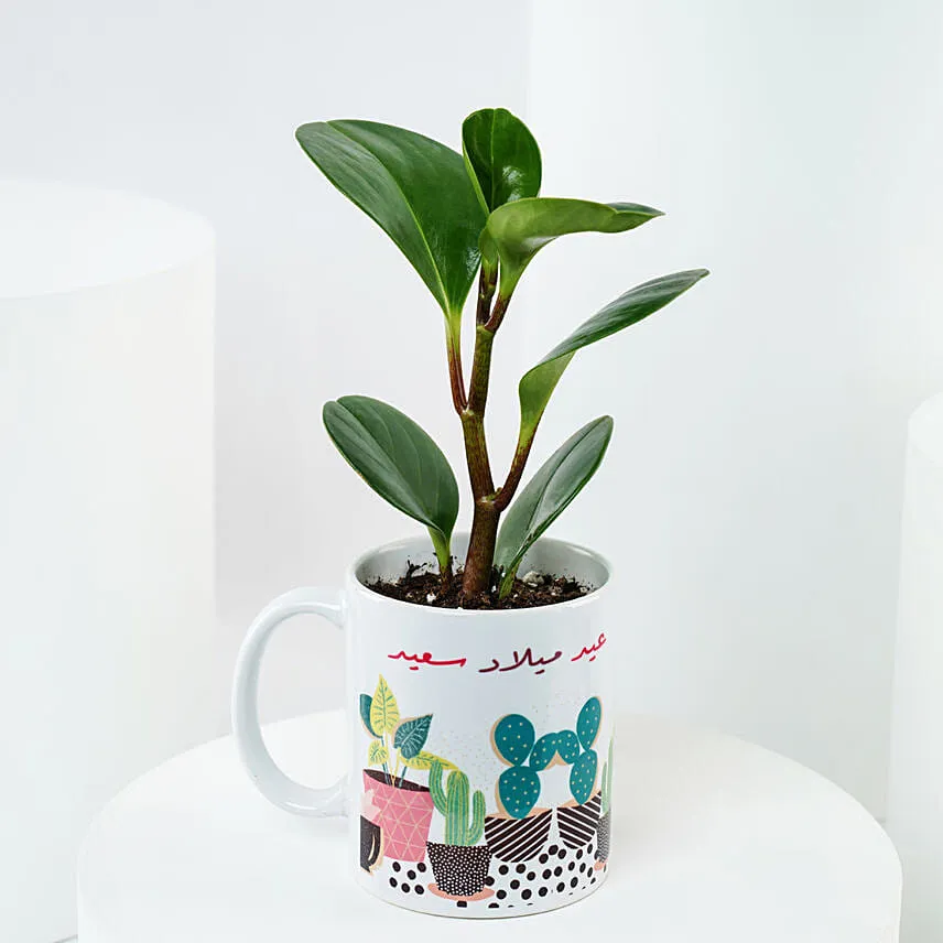 Peperomia Plant Birthday Mug