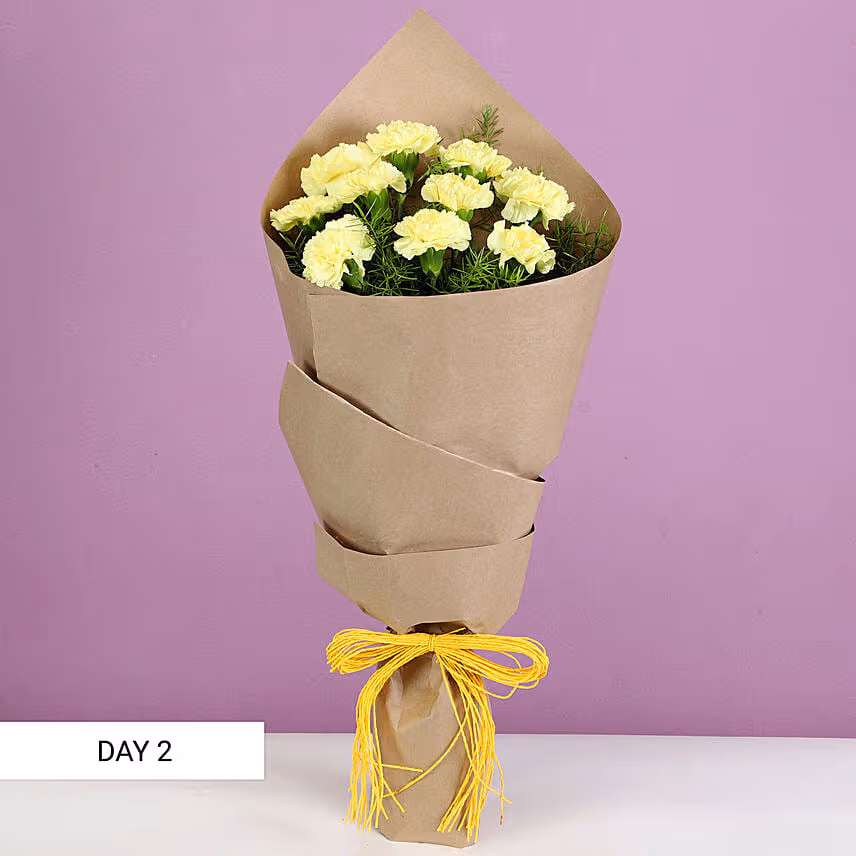 Beautiful Carnations Everyday