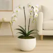 Elegant White Orchid Plant in Stylish Handmade Vase