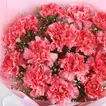 Pink Carnation Flower Bouquet For Mom 