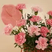 Pink Carnation Pearl Basket