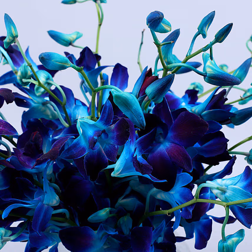 Beautiful Orchids Glass Vase Arrangement