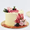 Elegant Birthday Surprise Designer Chocolate Cake