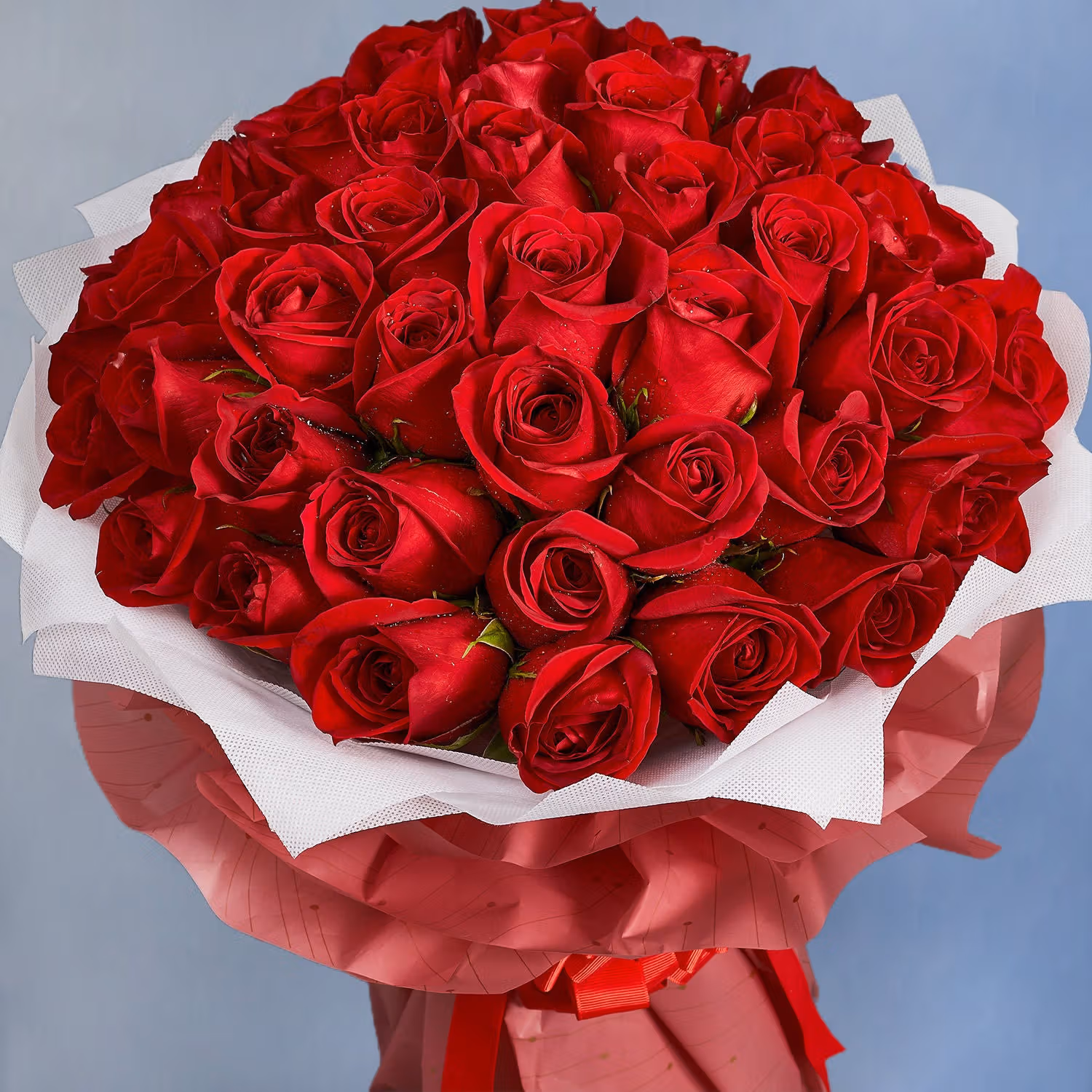 Majestic Roses: Elegant Bouquet of 50 Red Roses