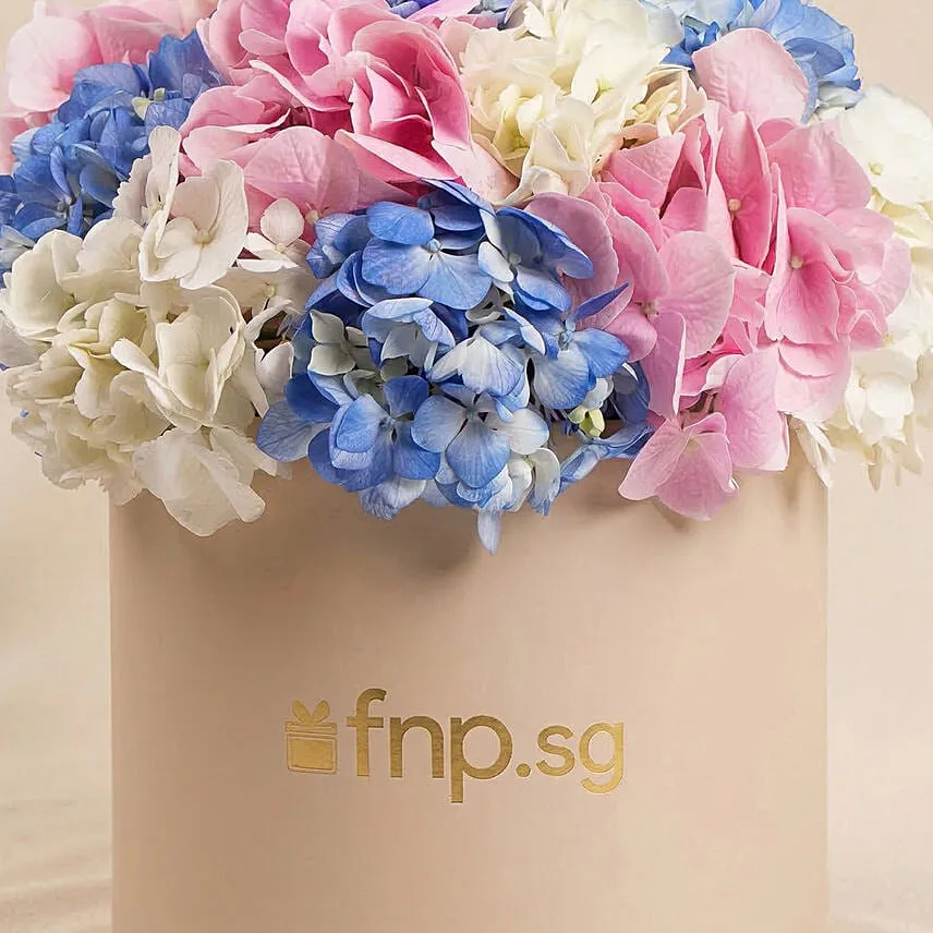 Hydrangeas Flower Box Arrangement