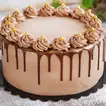 Chocolate Fudge Cake