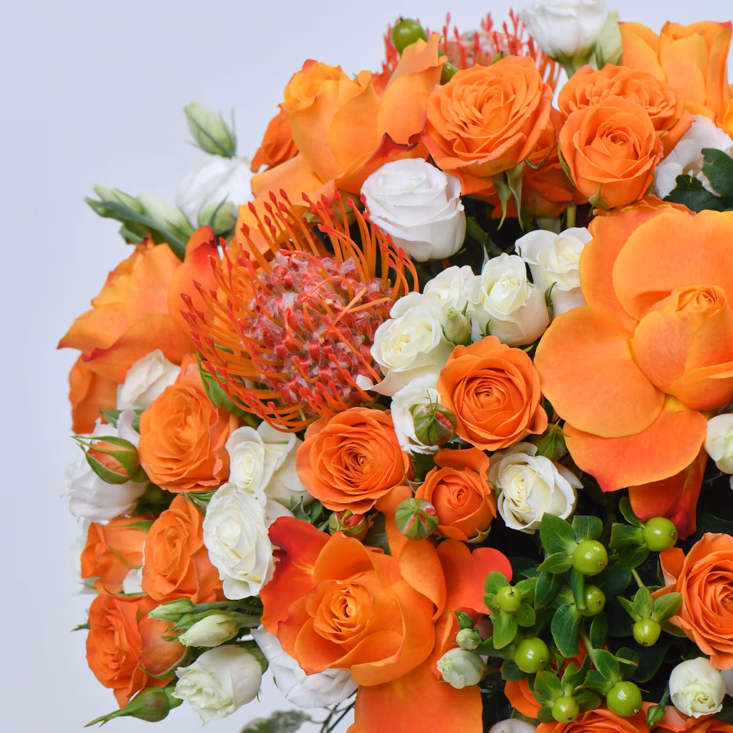Whimsical Baby Roses