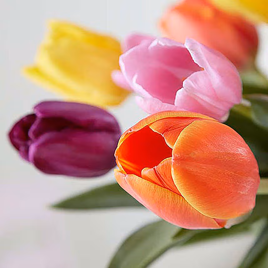 Blissful 15 Mixed Tulips Arrangement Mousse Cake