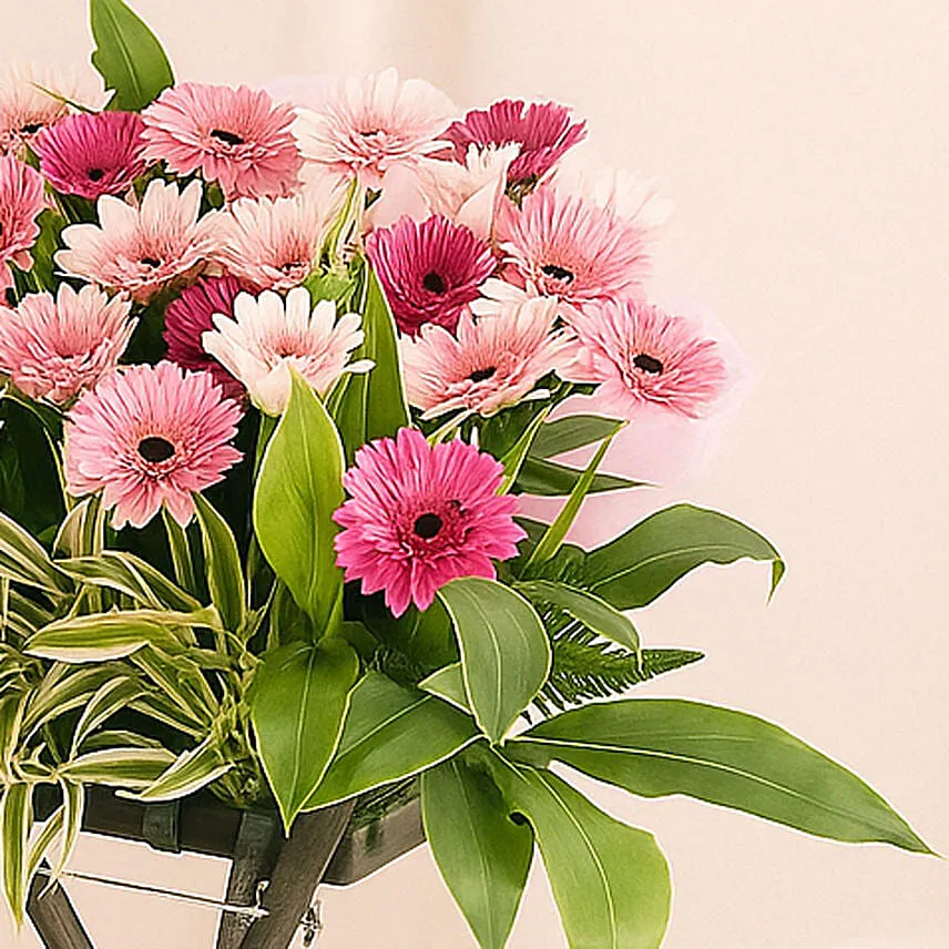 Appreciable Congratulatory Flower Stand