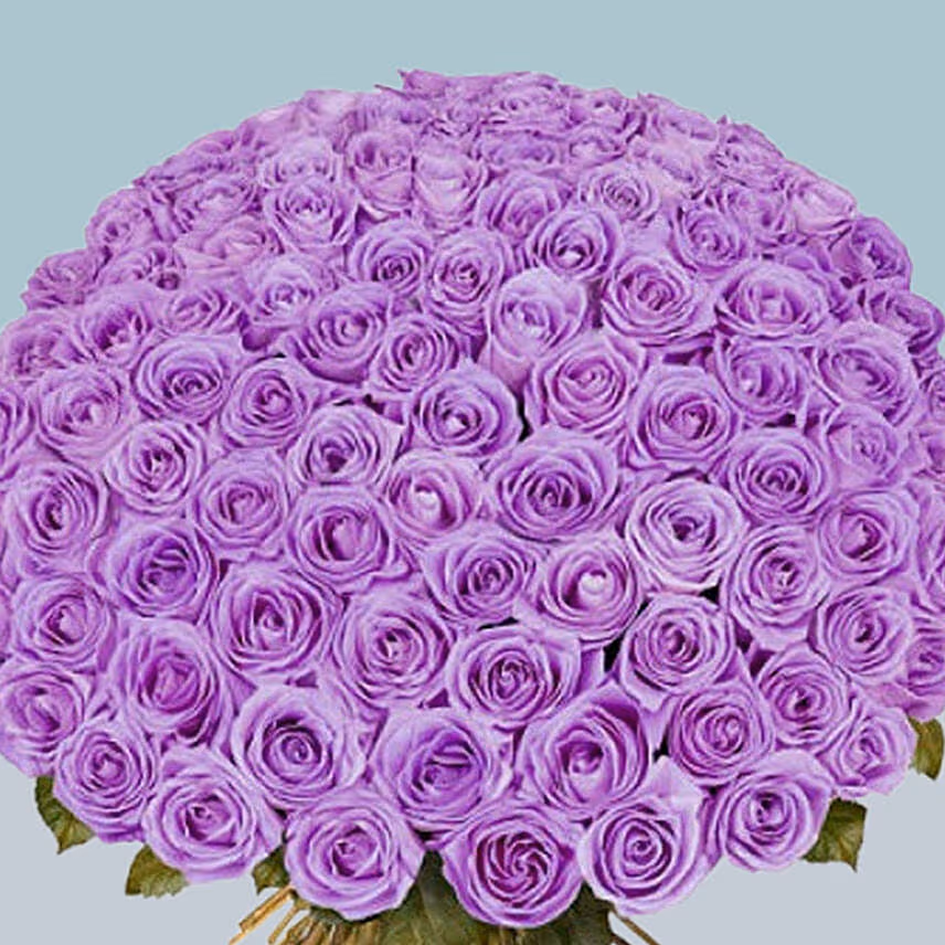 99 Purple Roses Bouquet For Valentine