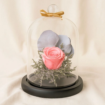 Beautiful Forever Rose In Glass Dome- Pink