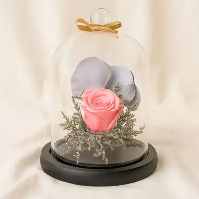 Beautiful Forever Rose In Glass Dome- Pink