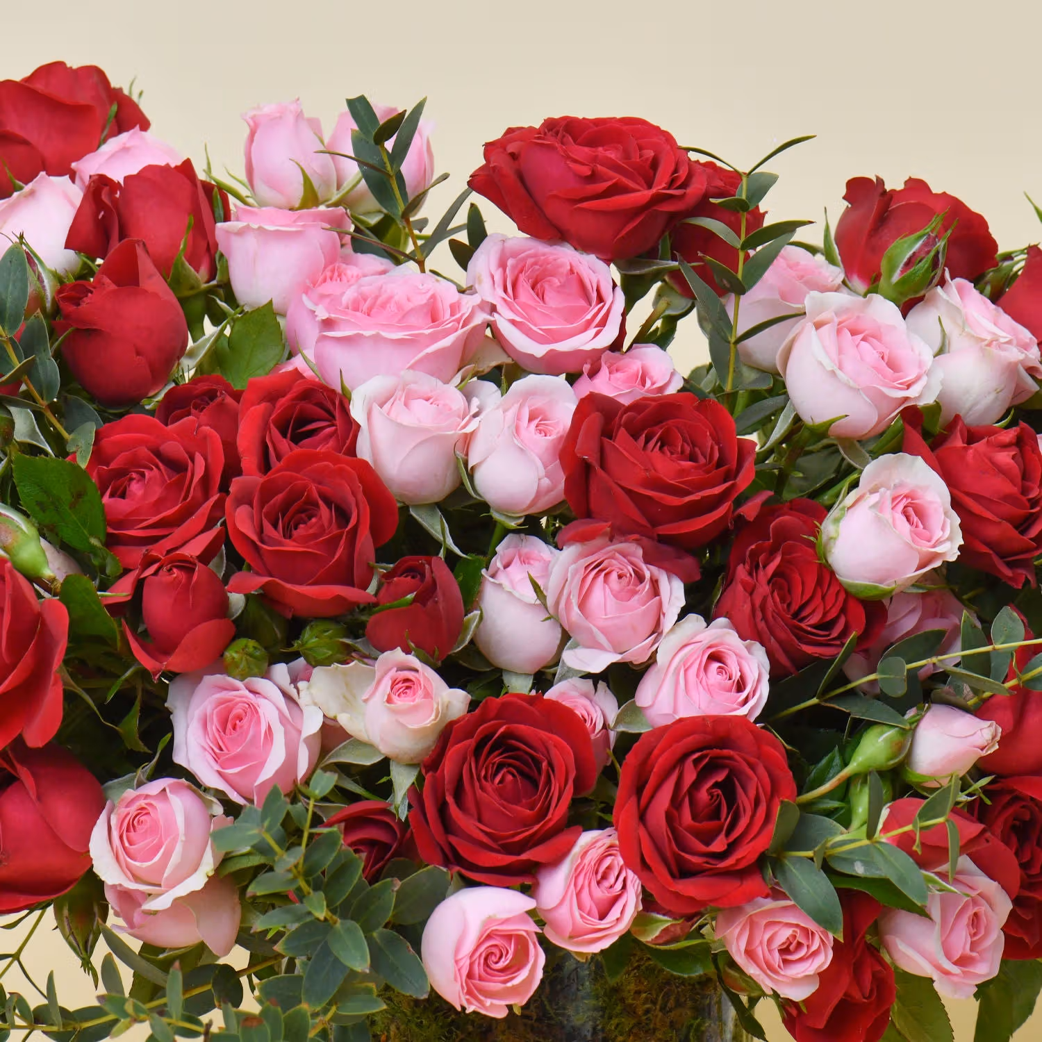Harmony of Rose Petals