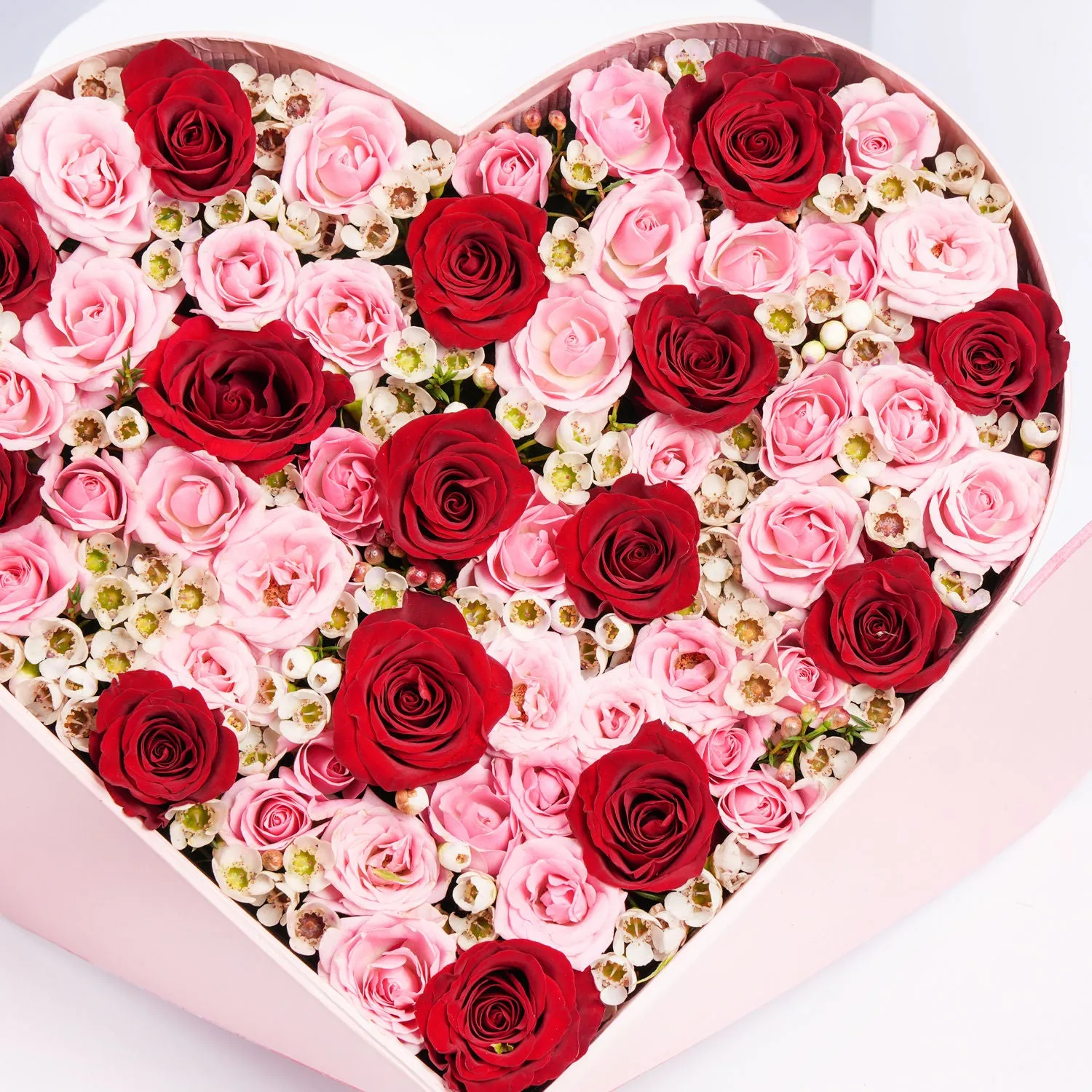Roses Heart
