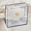 بيوني بيضاء محفوظة في بوكس مرايا