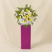 Yellow Gerberas White Pom In Beautiful Pink Stand