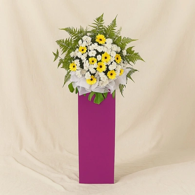 Yellow Gerberas White Pom In Beautiful Pink Stand