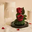 Red Preserved Rose Antique