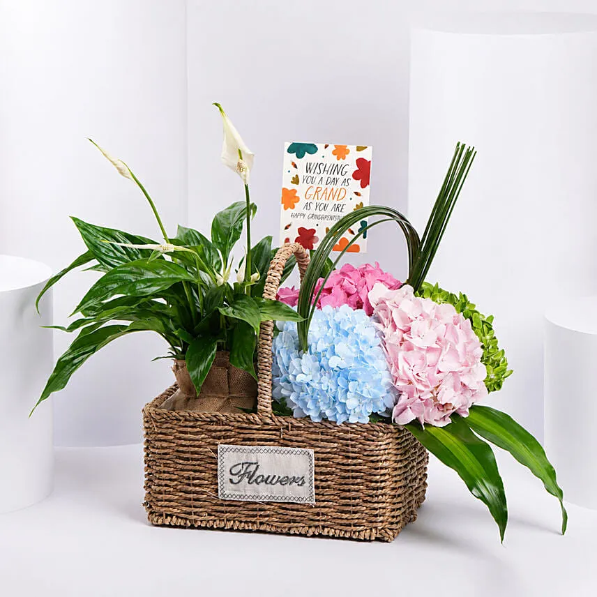 Grandparents Day Wishes Flowers And Plant Basket