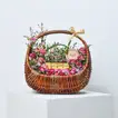 Luxurious Rose Perfection Gift Basket with Gourmet Chocolates