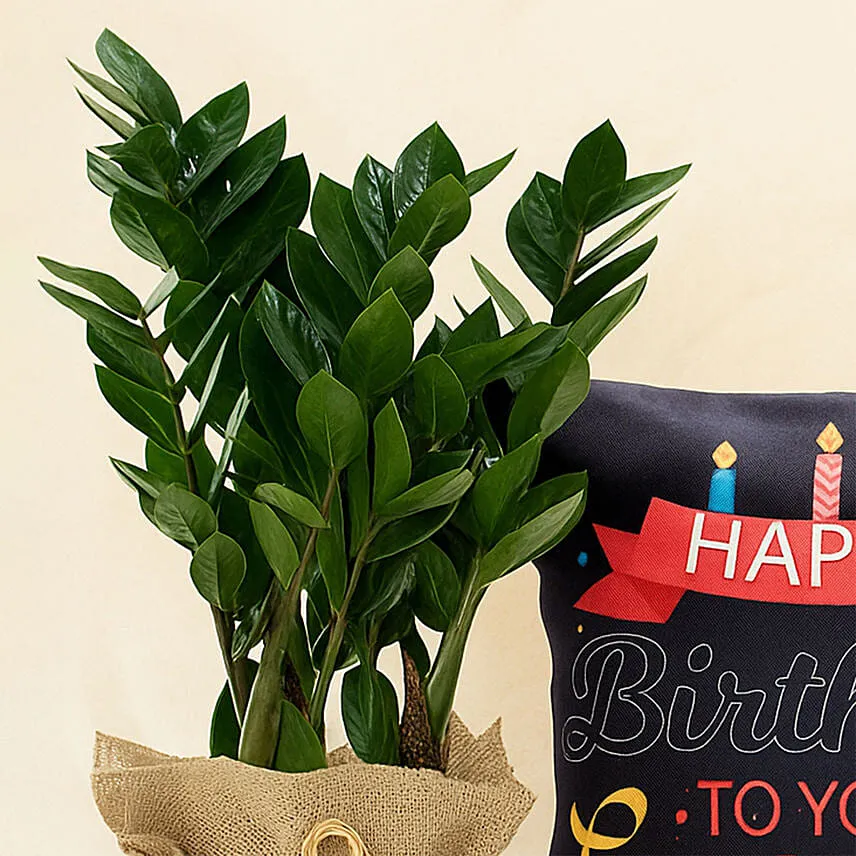 Jute Wrapped Jamia Plant With Personalised Birthday Candle Cushion