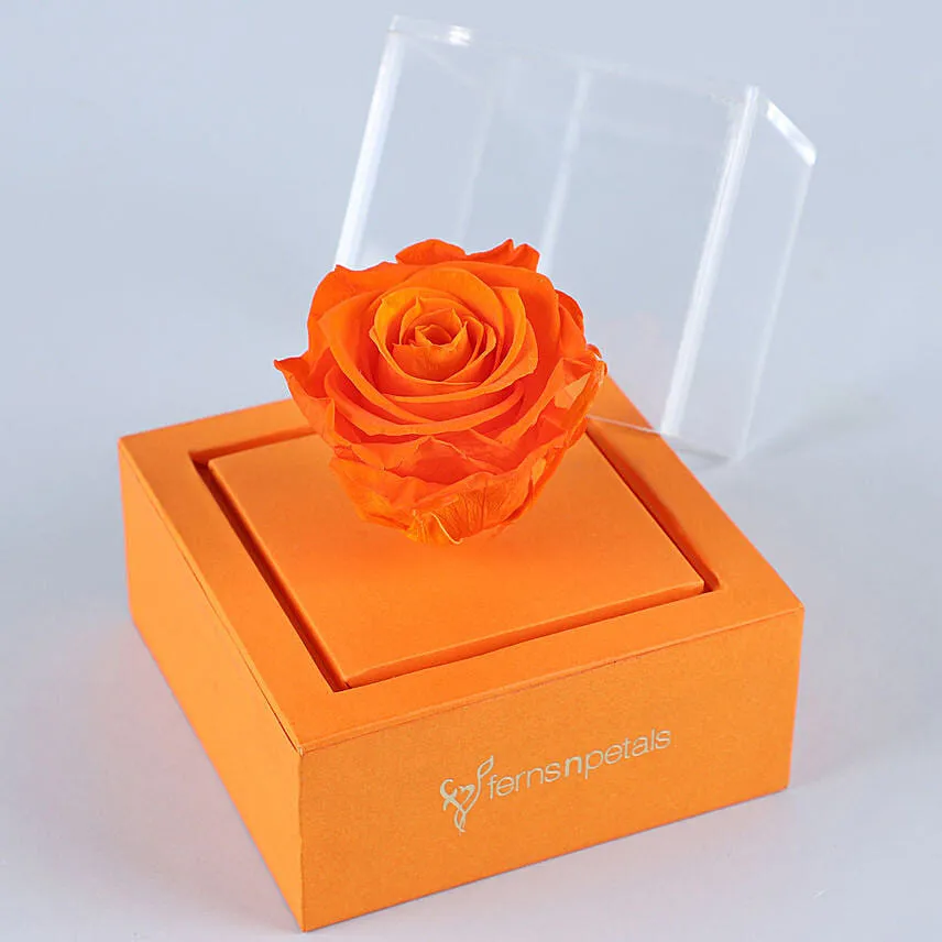 Orange Forever Rose In Orange Box