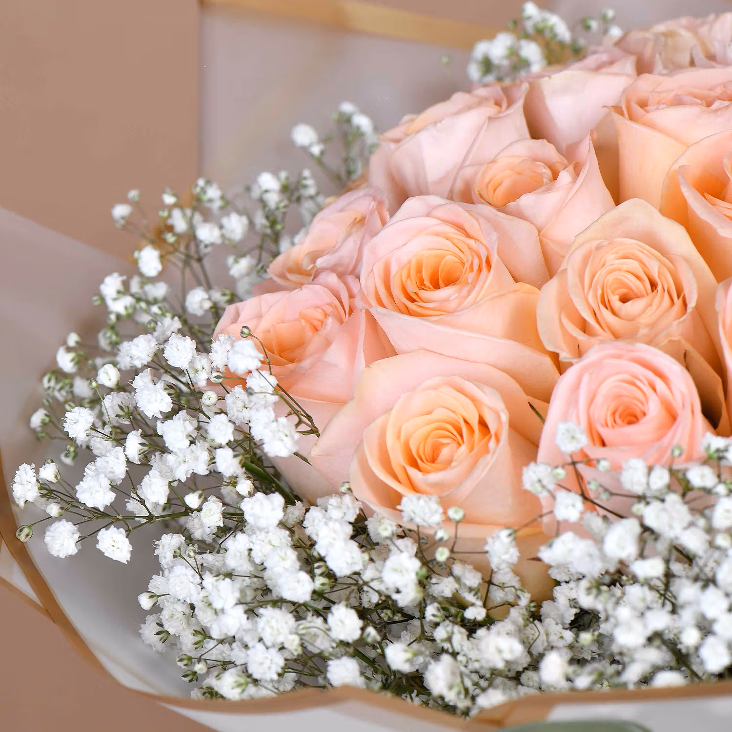 Elegant Peach Love 20 Roses Bouquet with Gypsophila Fillers
