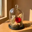 Eternal Elegance: Red Preserved Rose & Musk Perfume Unisex