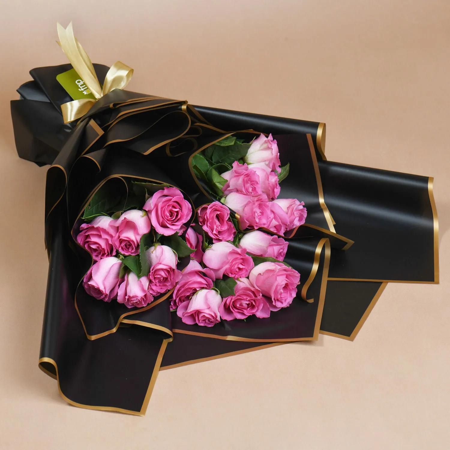 Roseate Splendor Rose