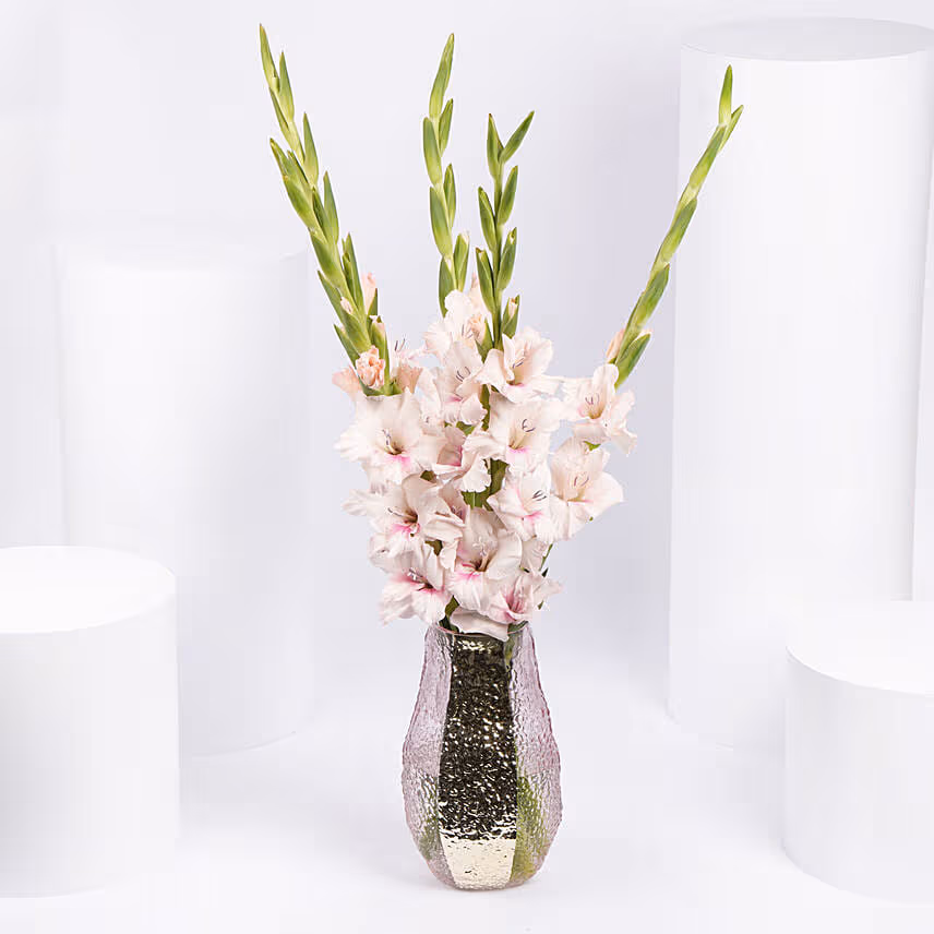 Pink Gladiolus In Premium Vase