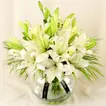 Lilies Happiness Arrangement