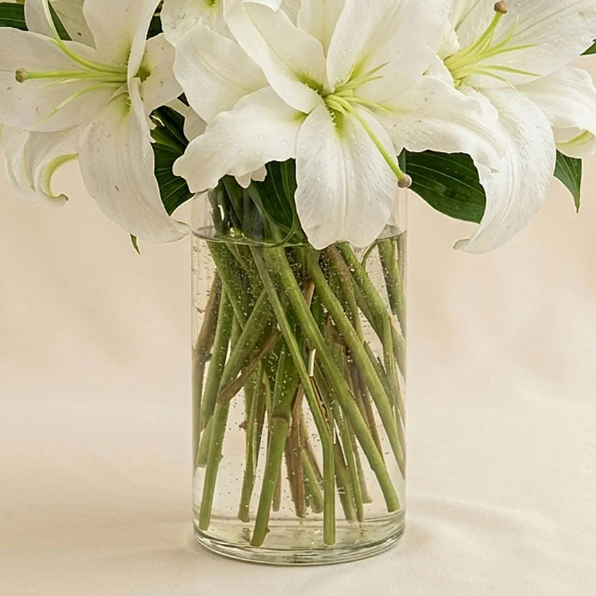 Serene Arranagement Of Lovely White Lilies