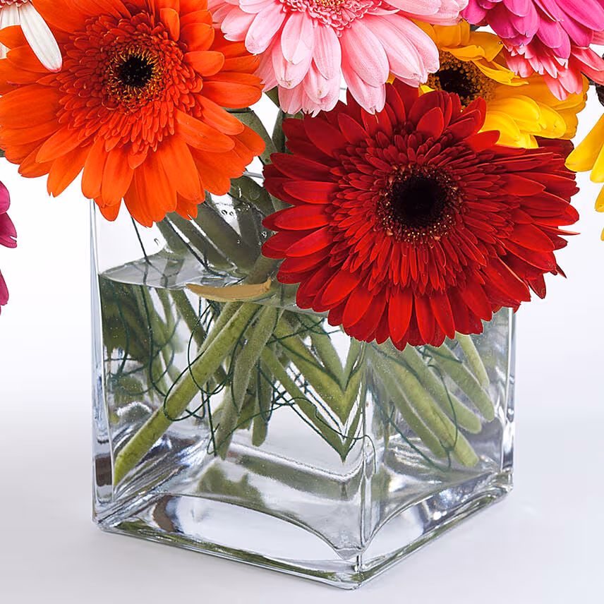 Mixed Elegant Gerberas In Glass Vase