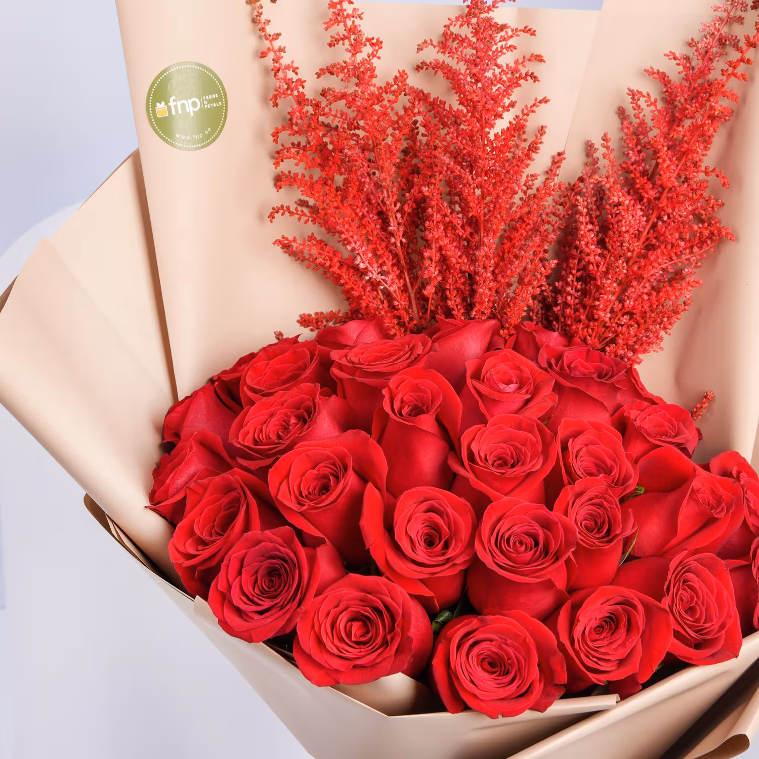 15 Rose Dream Desire 