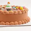 Delicious Teddy Birthday Cake - Chocolate