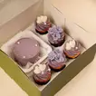 Indulgent Chocolate Bento Cake & Cupcake Delight