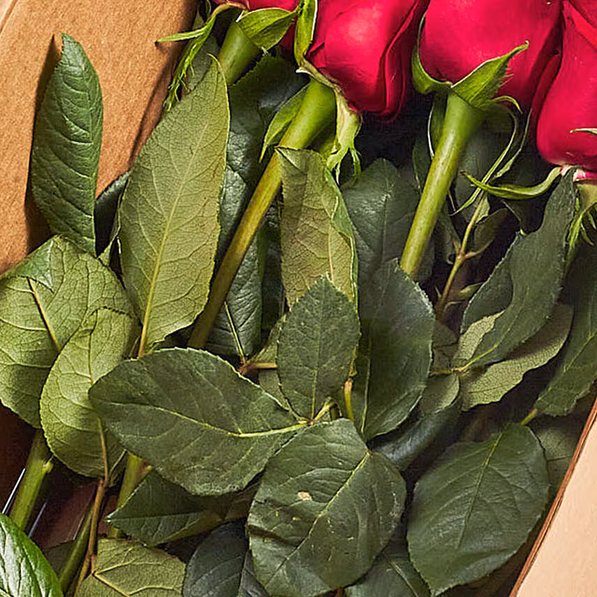 Eternal Love Red Roses Box