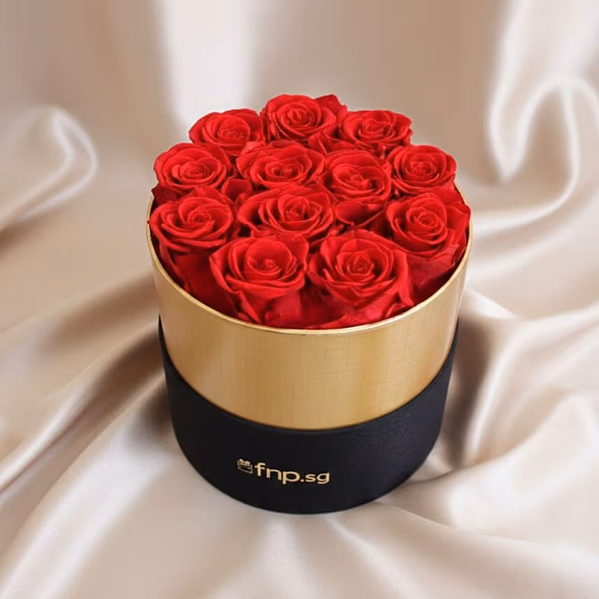 Eternal Love Presreved Roses Box For Valentine's